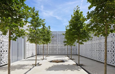 An image of a terrace with four trees and white walls around them and a small fountain in the centre of the terrace